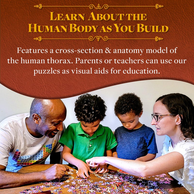 Genius Games Human Thorax Anatomy Puzzle - Adult Jigsaw Puzzles Unique Gifts for Kids, Nurses, Doctors, Medical Students, Educational Science - 411 Piece Teen Floor Puzzle - Genius Games Dr. Livingston Body Model - Image 5